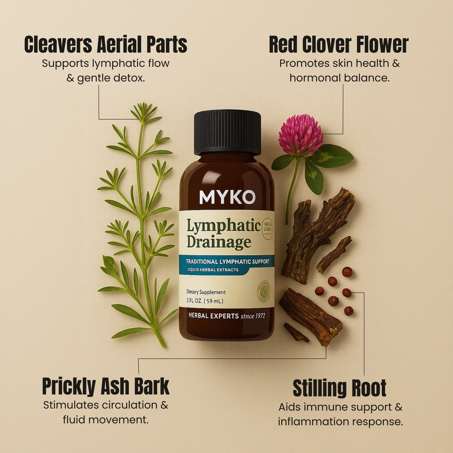 MYKO - Lymphatic Drainage Drops